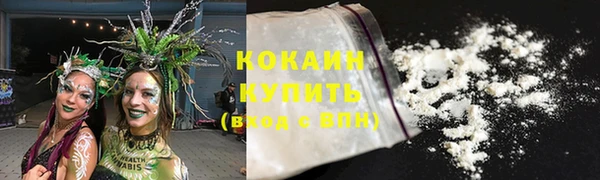 стафф Аркадак