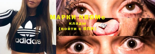 стафф Аркадак