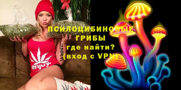 стафф Аркадак